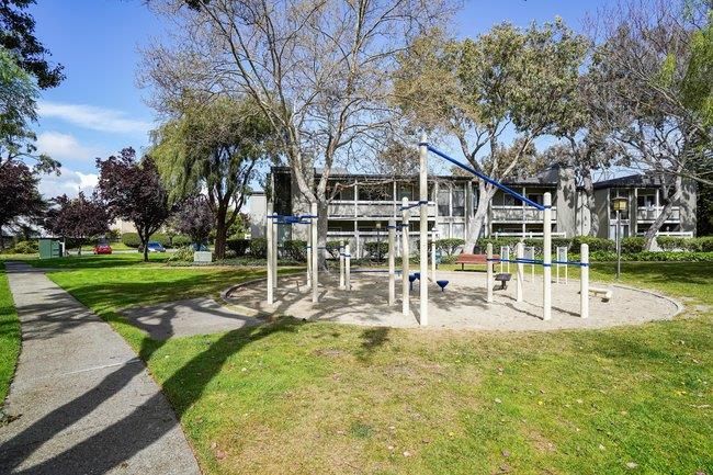 Backyard, Exterior, Playground