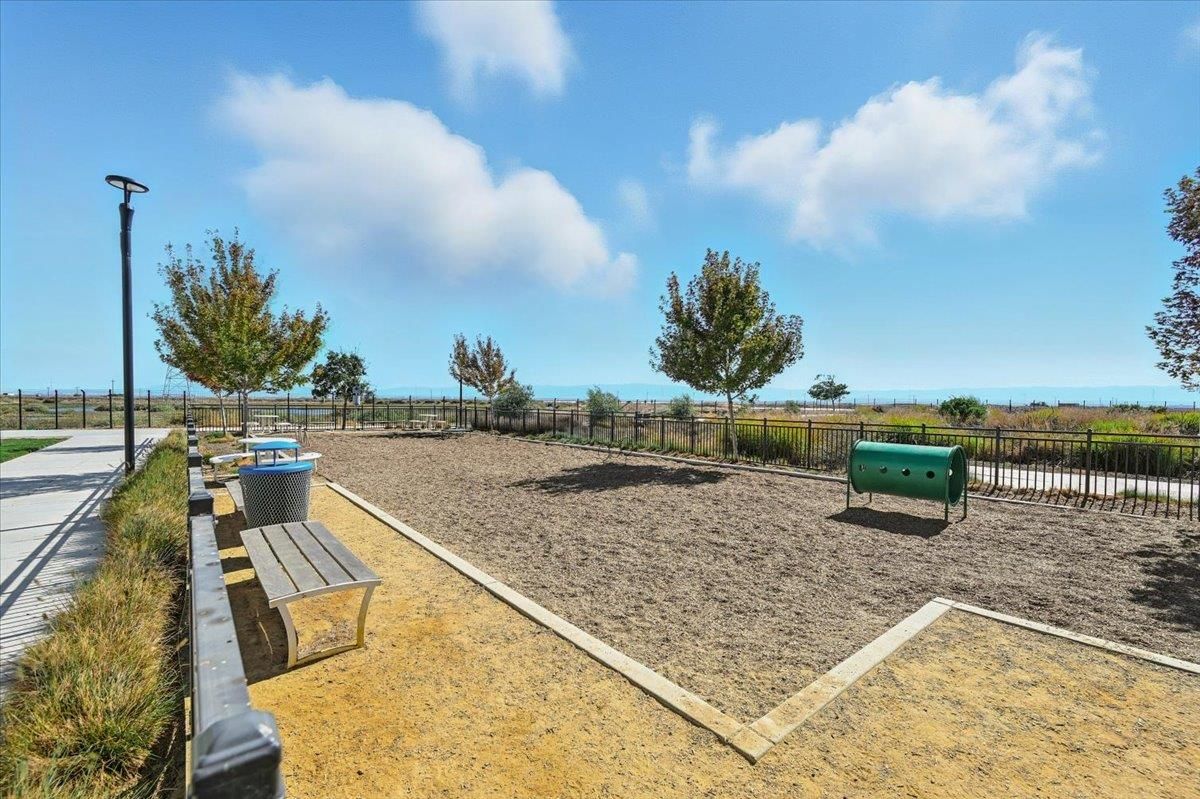 Backyard, Exterior, Water