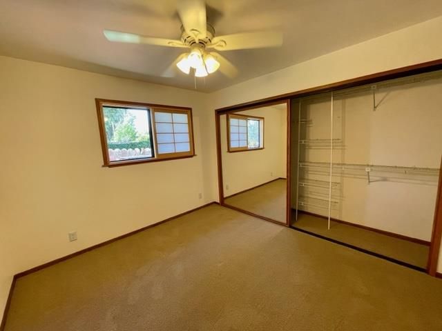 Empty room, Interior, Walk-in Closets