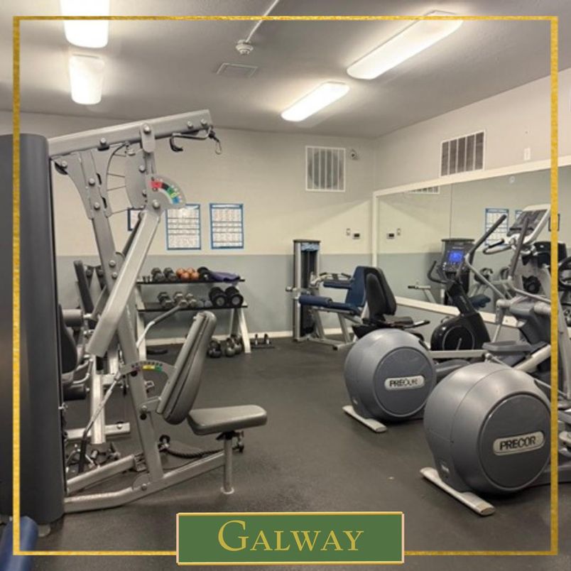 Fitness Equipment, Gym, Interior