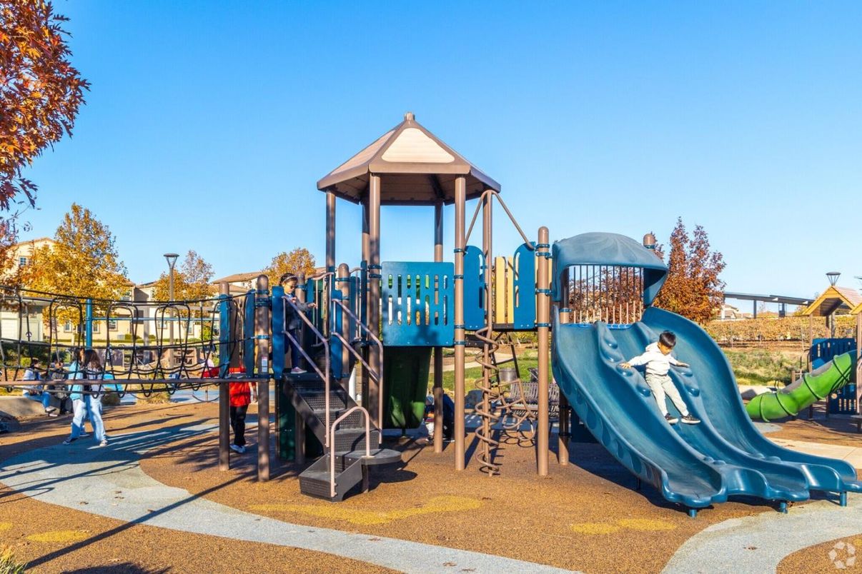 Backyard, Exterior, Playground