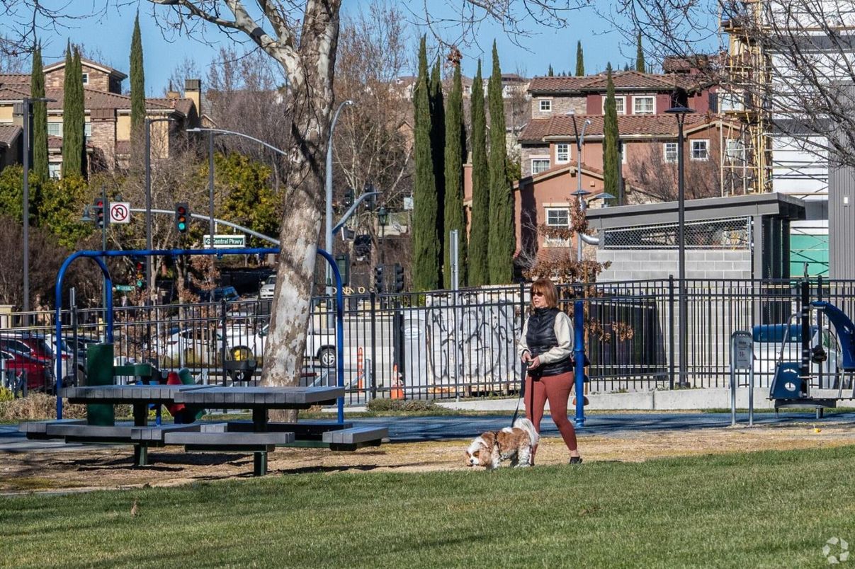 Backyard, Exterior, Playground