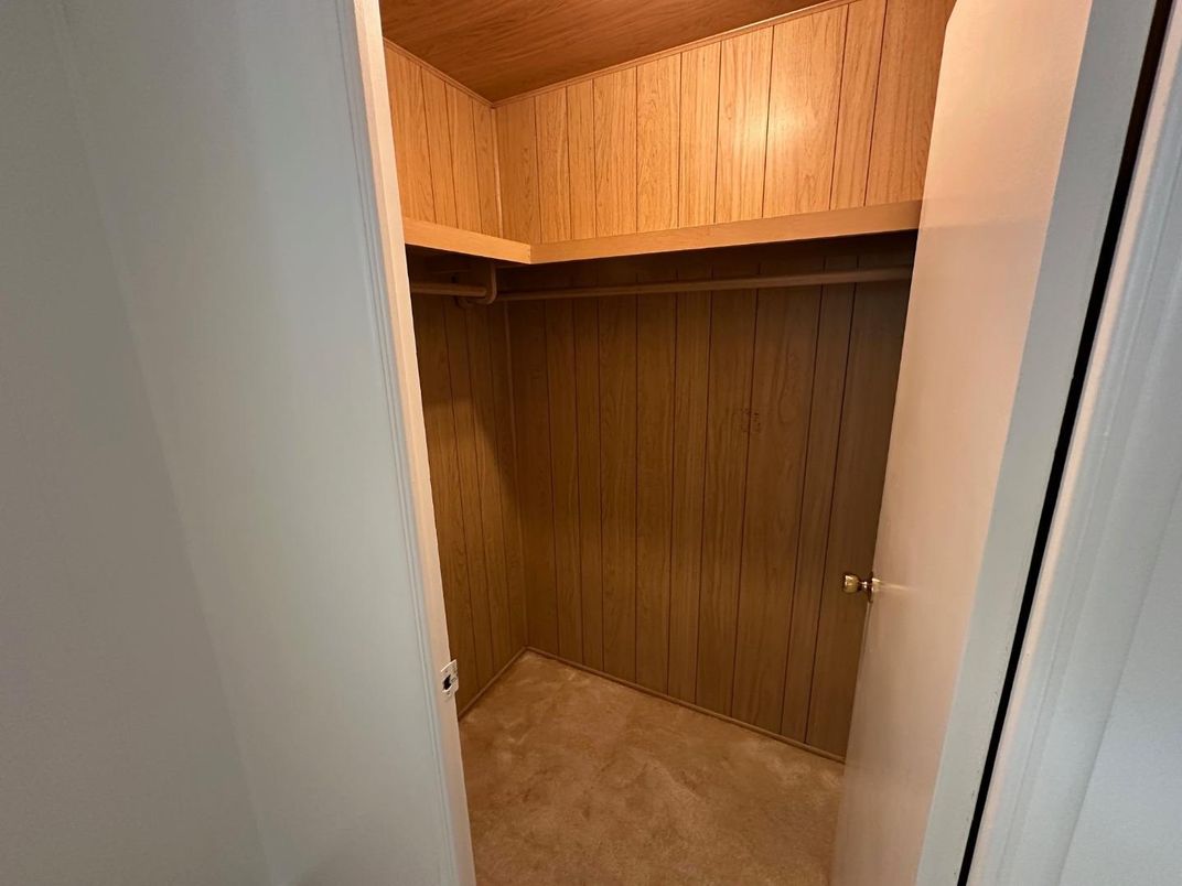Interior, Wooden Ceilings