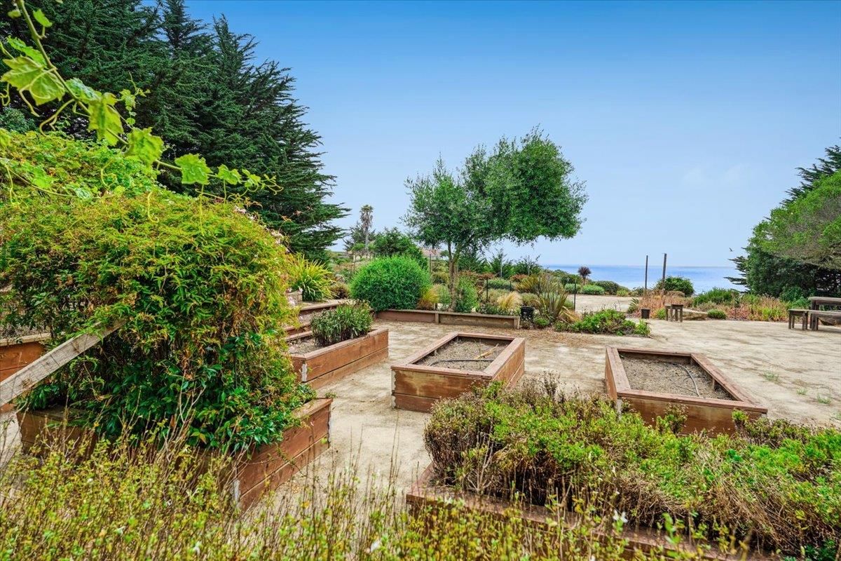 Backyard, Exterior, Water
