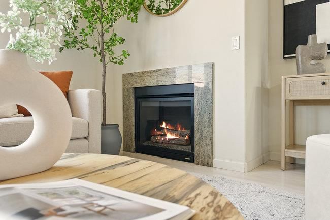 Fireplace, Interior, Wood Texture Flooring