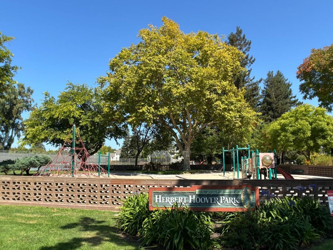 Backyard, Exterior, Playground