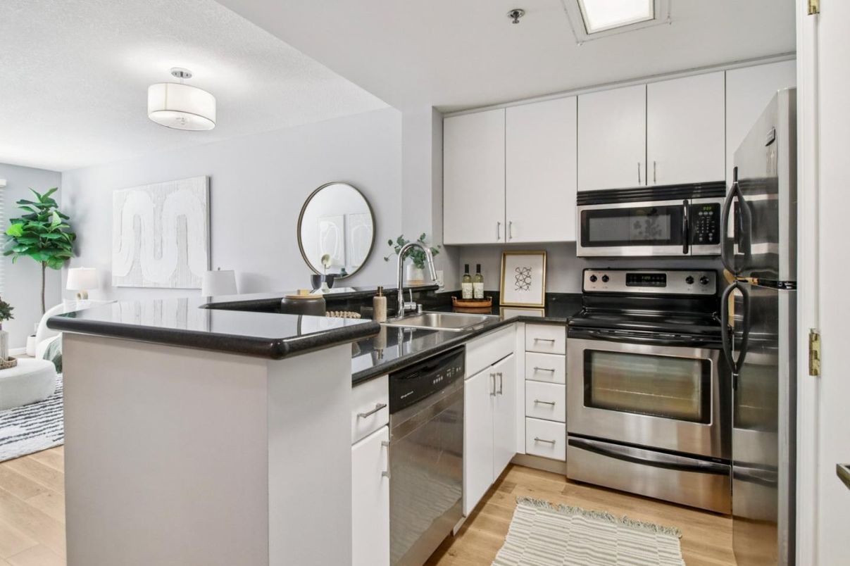 Interior, Kitchen, Stainless Steel Appliances, Wood Texture Flooring