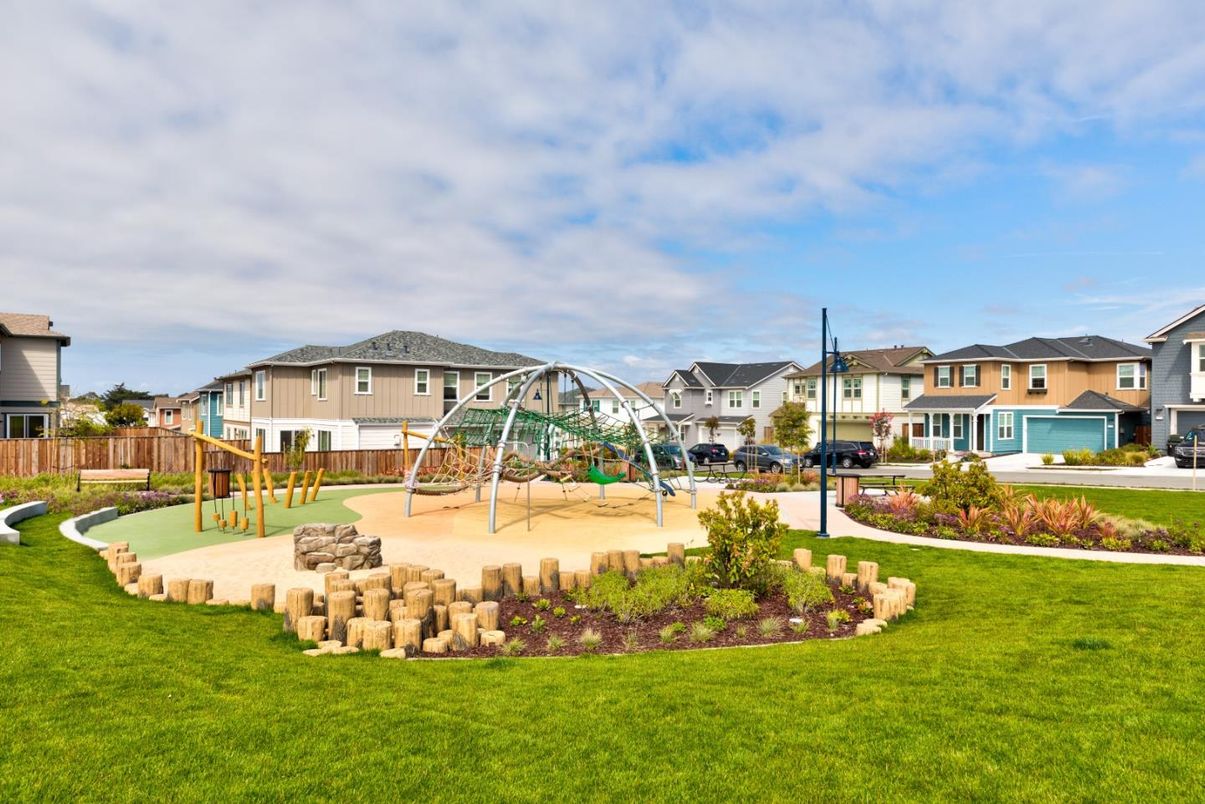 Backyard, Exterior, Playground