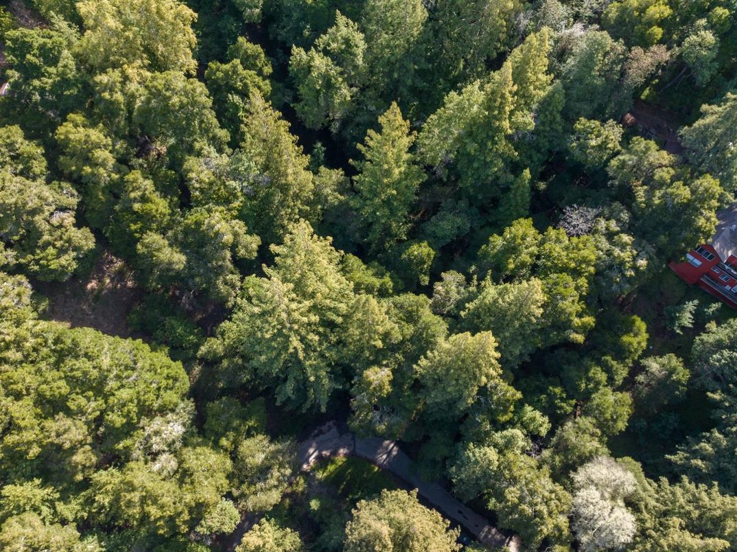 Exterior, Drone