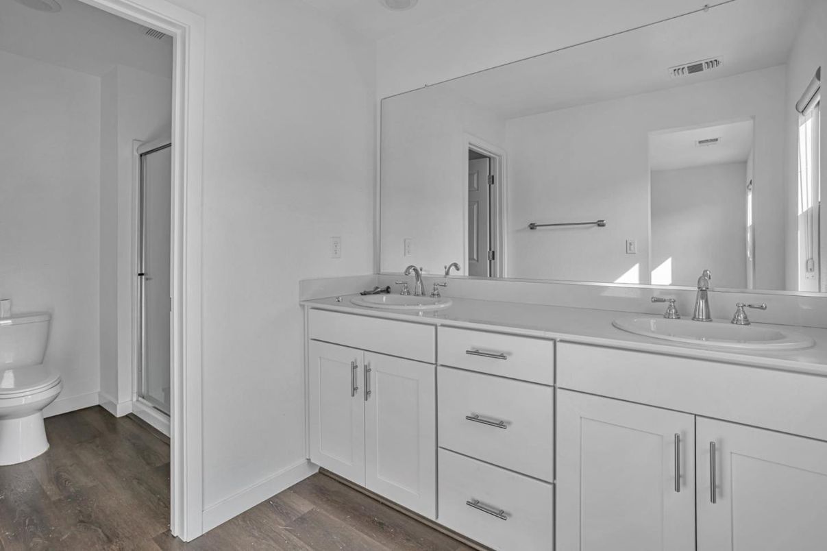 Bathroom, Dual Sink Vanities, Interior, Wood Texture Flooring