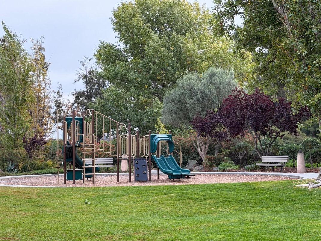 Backyard, Exterior, Playground