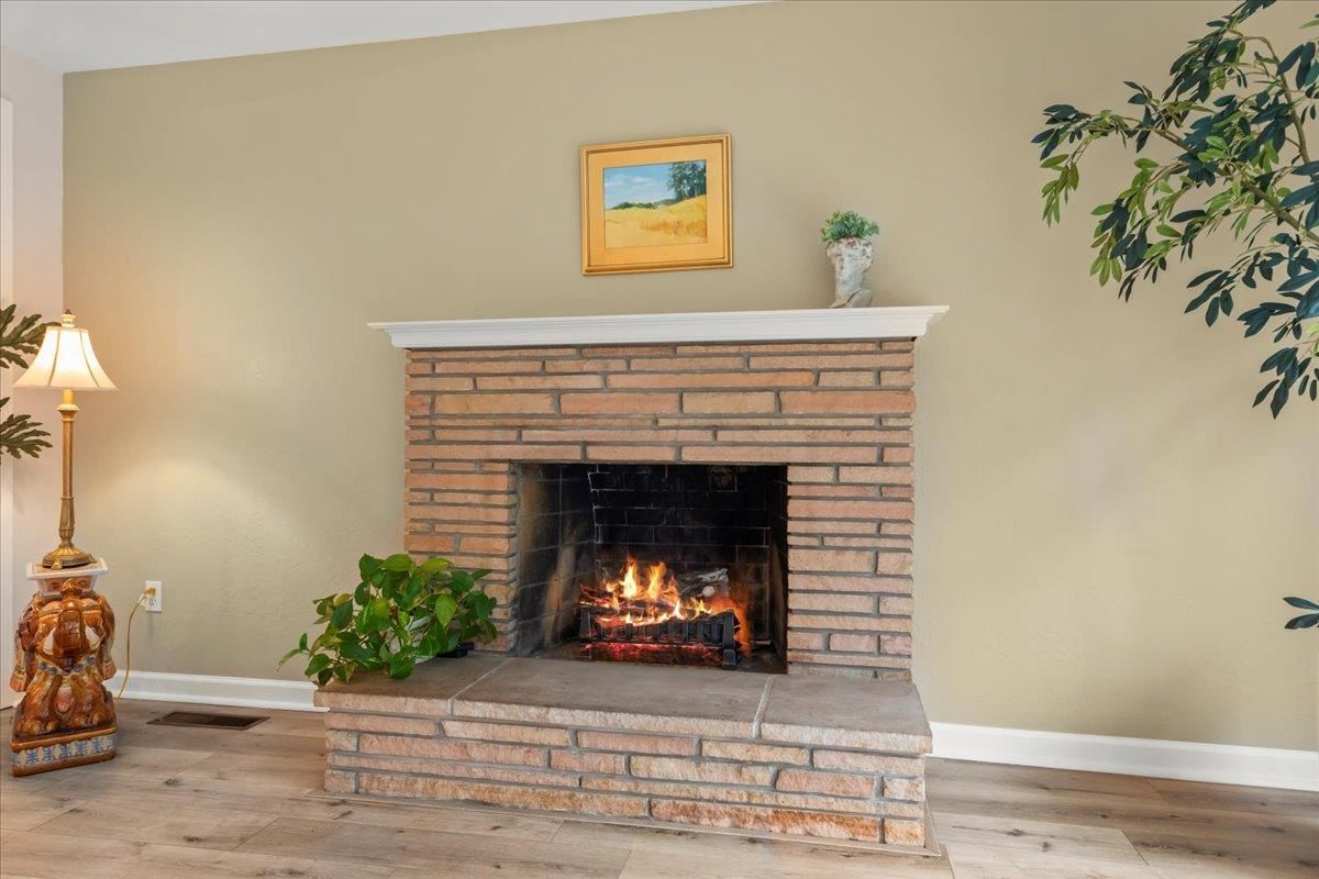 Fireplace, Interior, Wood Texture Flooring
