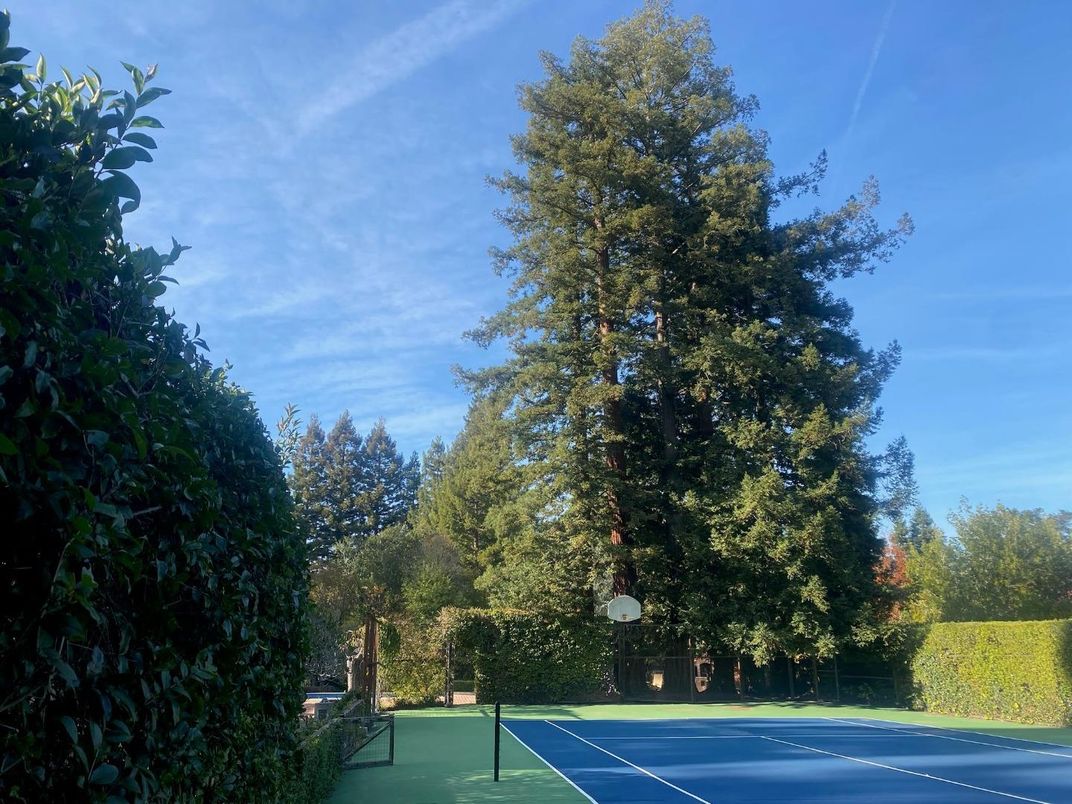 Exterior, Tennis Courts