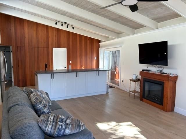 Fireplace, Interior, Kitchen, Living room, Wood Texture Flooring