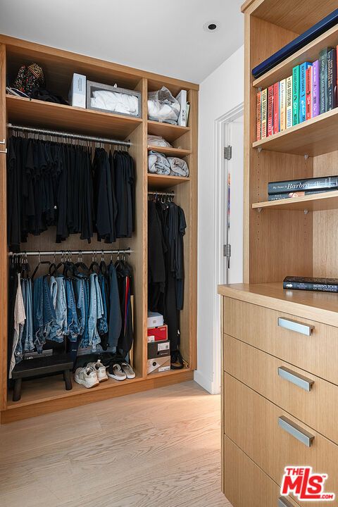 Interior, Walk-in Closets, Wood Texture Flooring