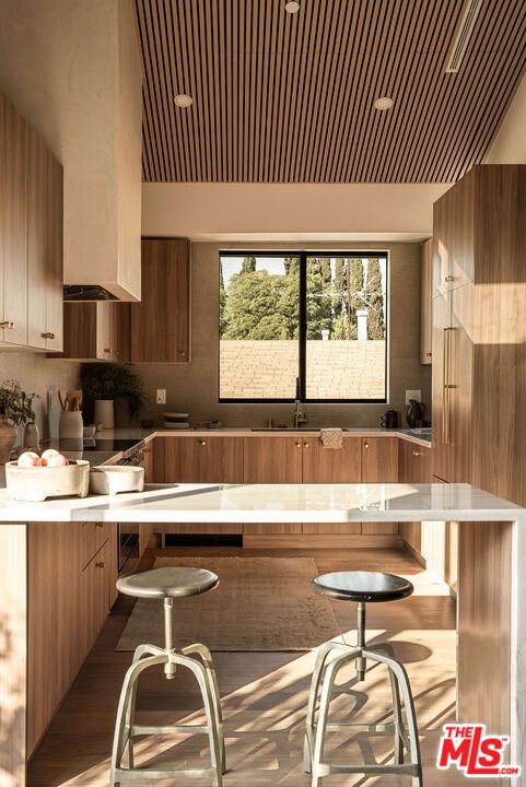 Interior, Kitchen, Wooden Ceilings, Wood Texture Flooring