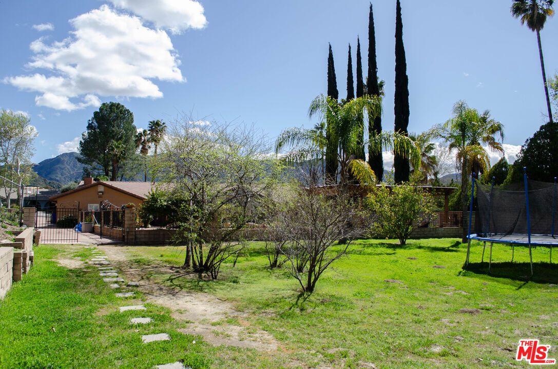 Backyard, Exterior, Playground
