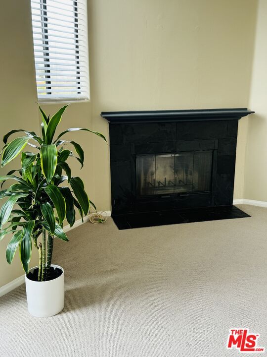 Fireplace, Interior