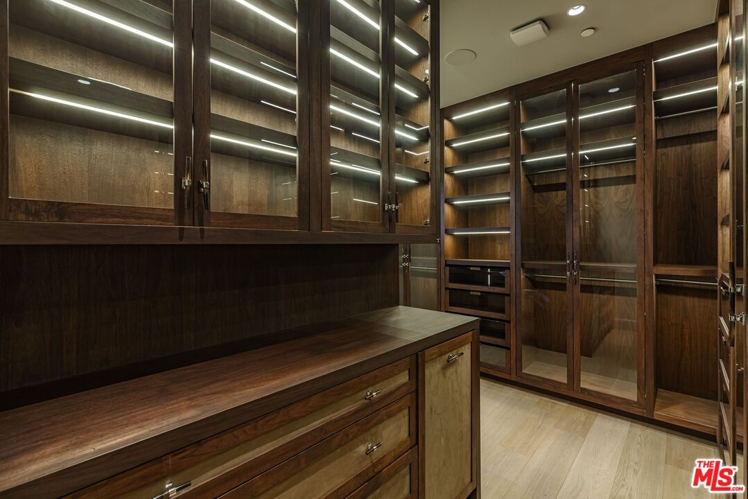 Interior, Walk-in Closets, Wood Texture Flooring