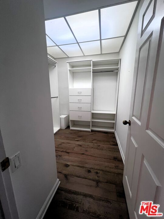 Interior, Walk-in Closets, Wood Texture Flooring