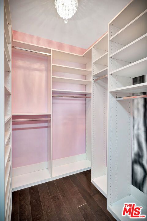 Interior, Walk-in Closets, Wood Texture Flooring