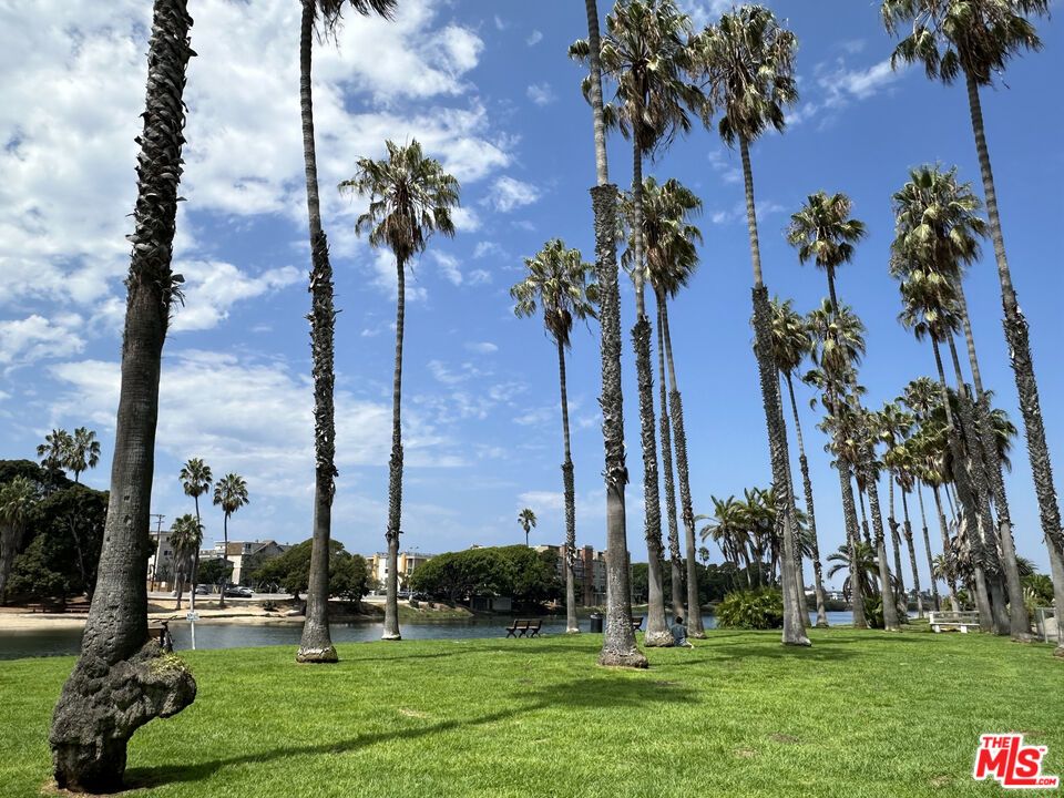 Backyard, Exterior, Water