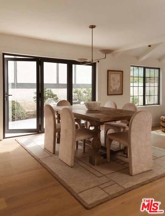Dining room, Interior, Pendant Lights, Wood Texture Flooring