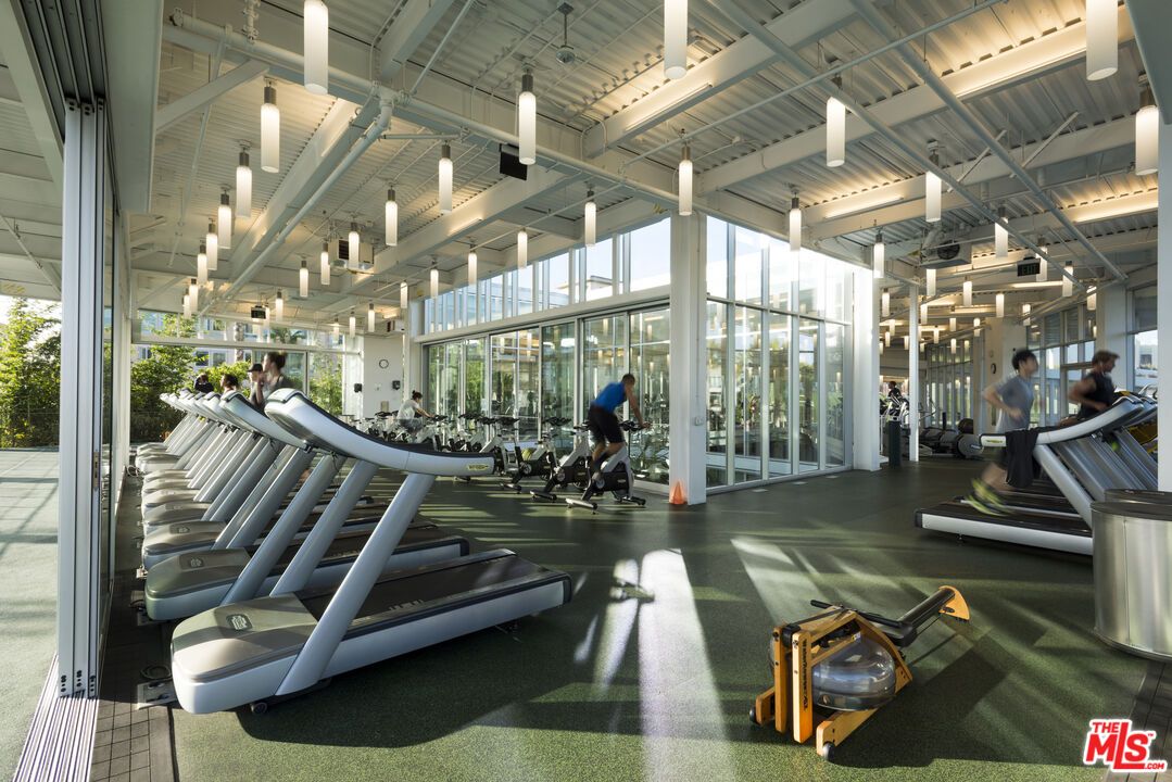 Fitness Equipment, Gym, Interior