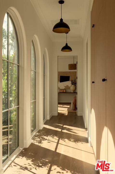 Interior, Pendant Lights
