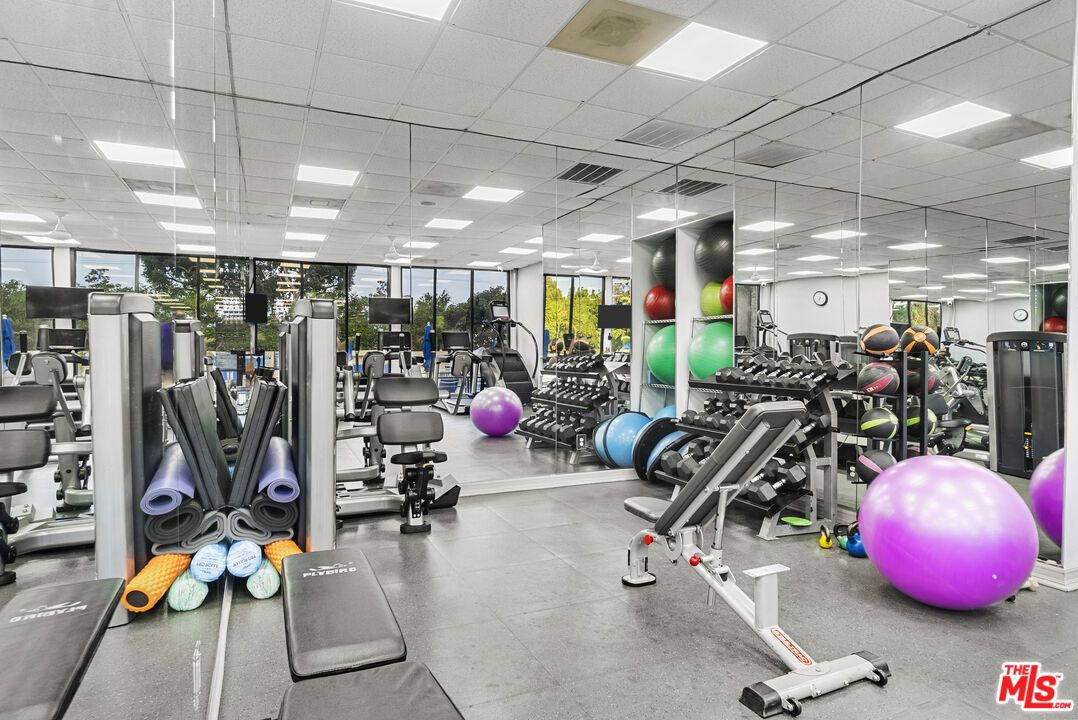 Fitness Equipment, Gym, Interior, Recessed Lighting