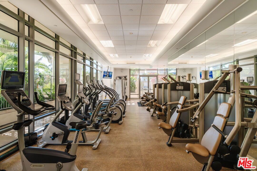 Fitness Equipment, Gym, Interior, Recessed Lighting