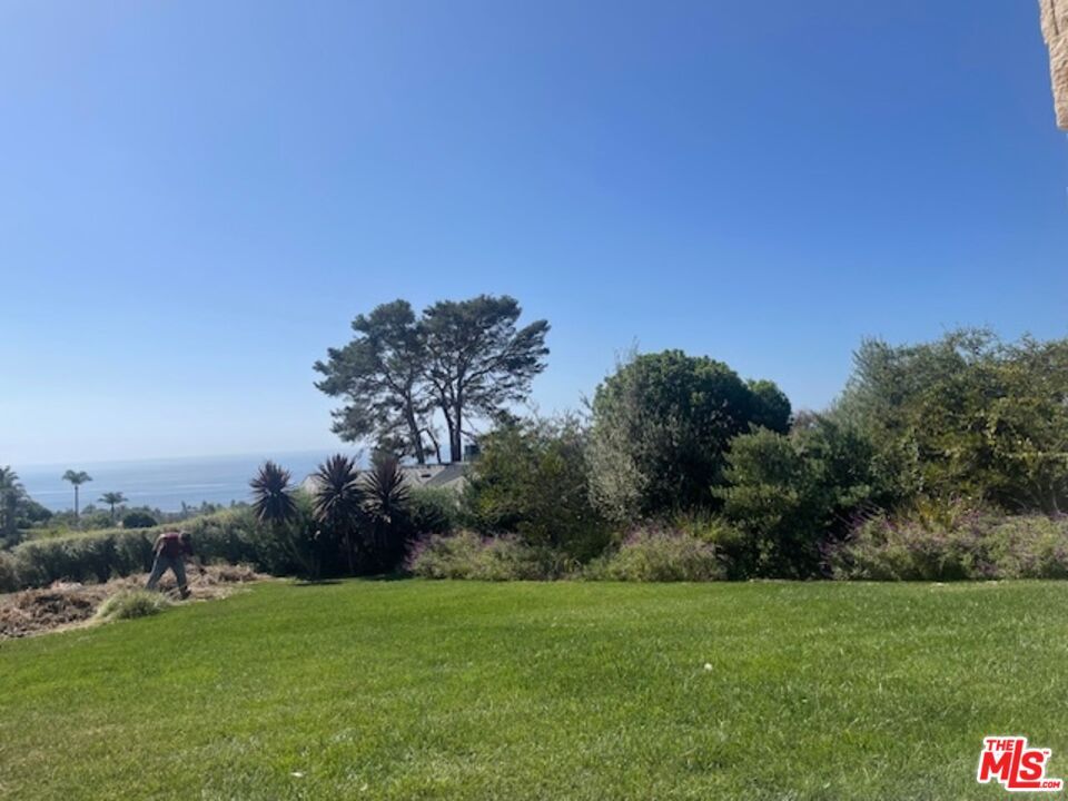 Backyard, Exterior, Water
