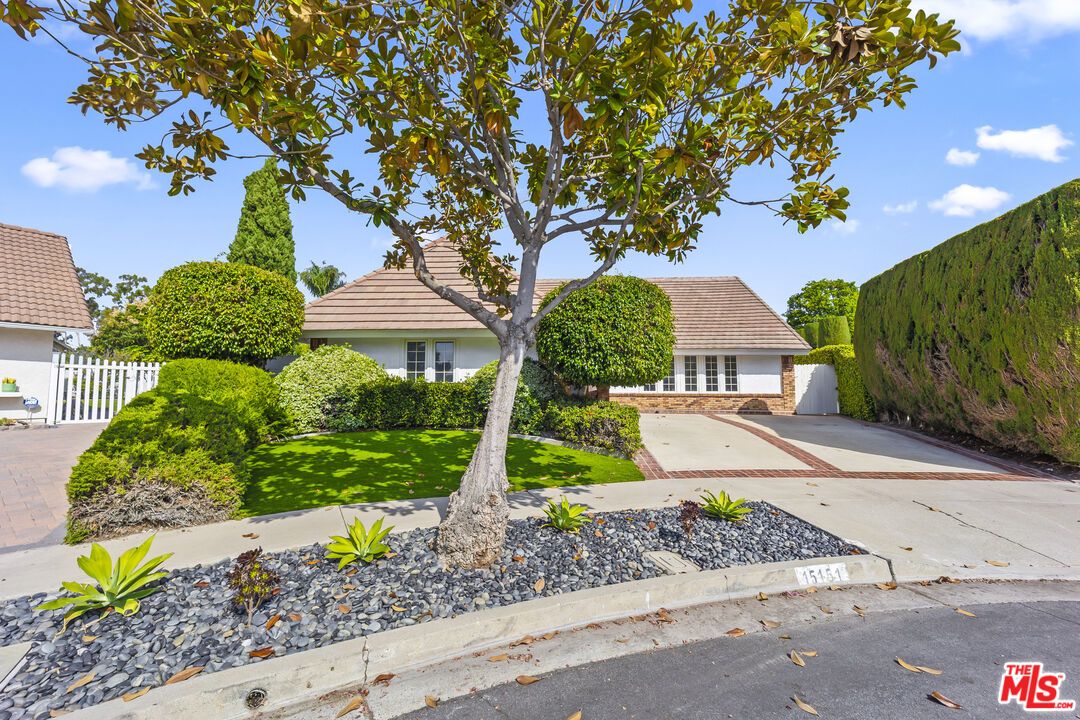 Backyard, Exterior, Facade, French Provincial