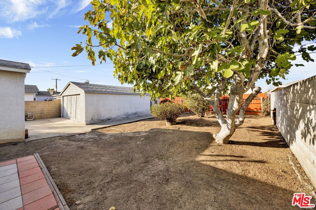 Backyard, Detached Garage, Exterior