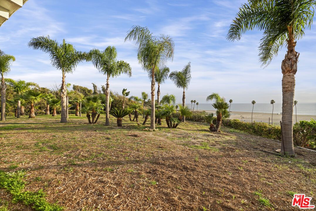 Backyard, Exterior, Water