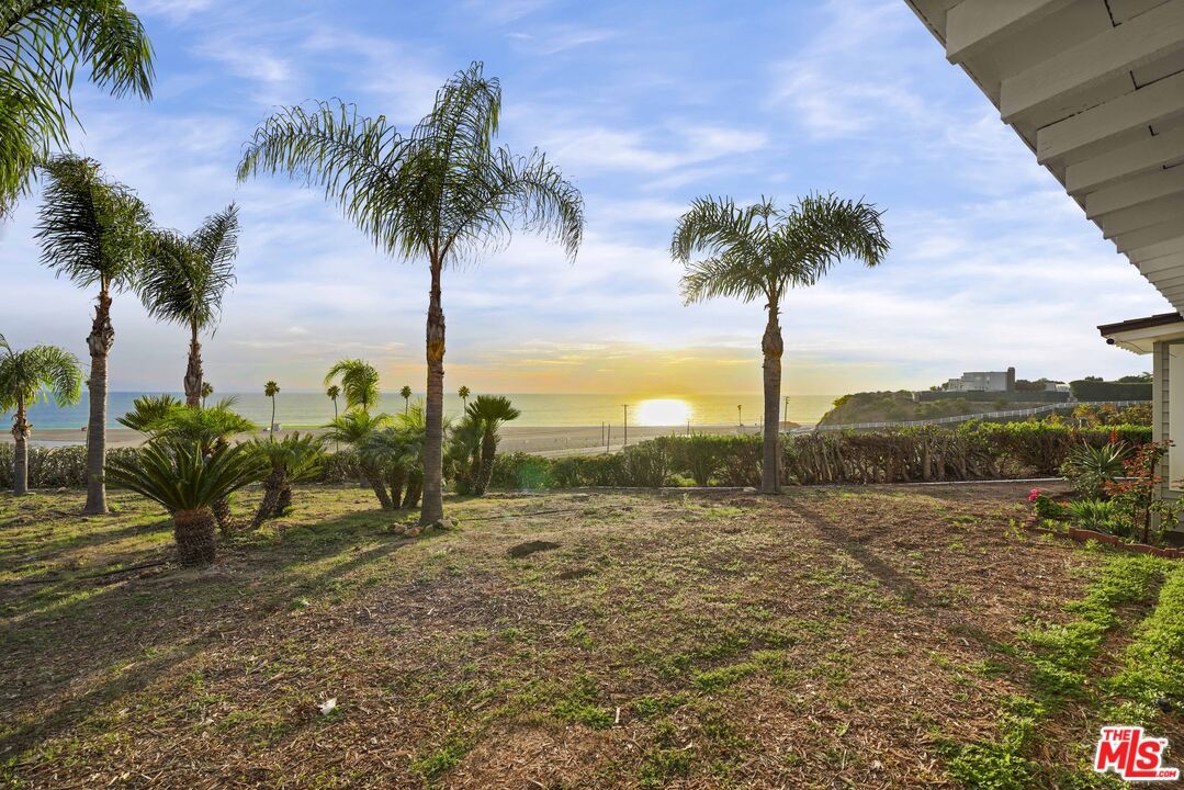 Backyard, Exterior, Water