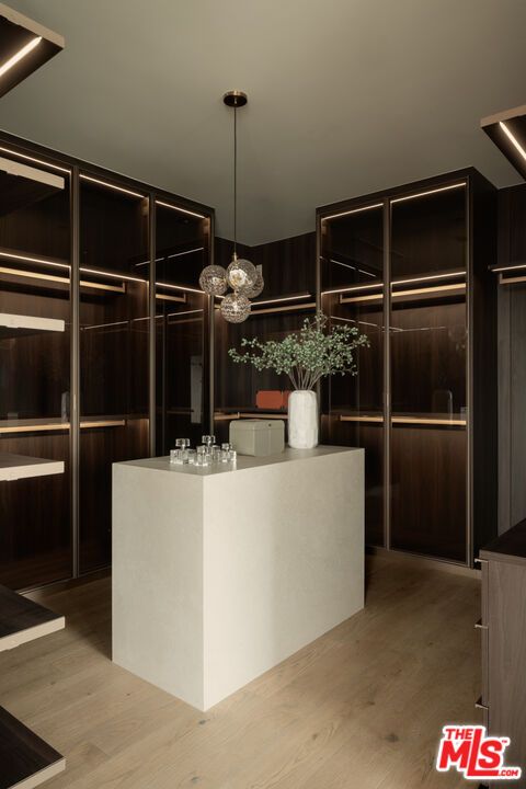Interior, Pendant Lights, Walk-in Closets, Wood Texture Flooring