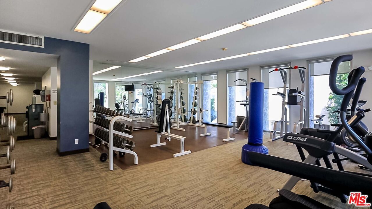 Fitness Equipment, Gym, Interior, Recessed Lighting