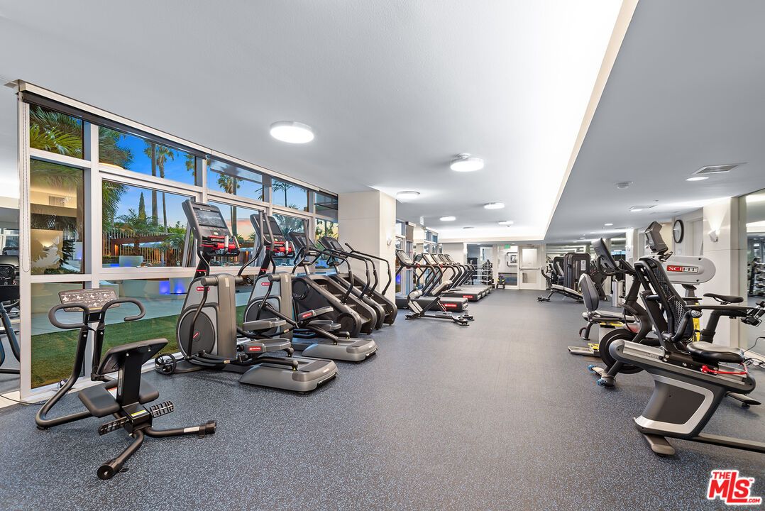 Fitness Equipment, Gym, Interior, Recessed Lighting