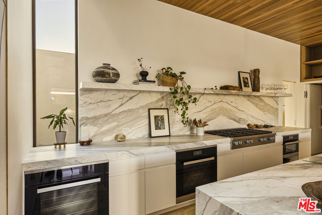 Interior, Kitchen, Marble Walls, Stainless Steel Appliances, Wooden Ceilings
