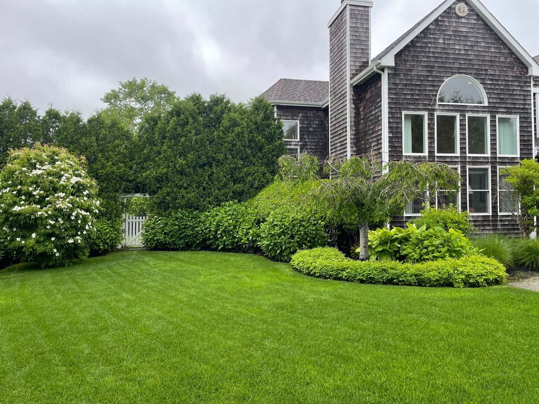 Backyard, Exterior, Facade, Tudor Revival