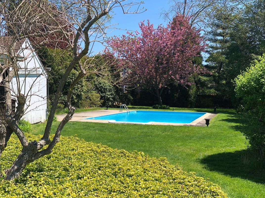 Backyard, Exterior, Pool