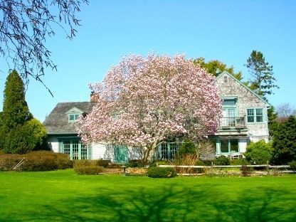 Backyard, Exterior, Facade, Tudor Revival