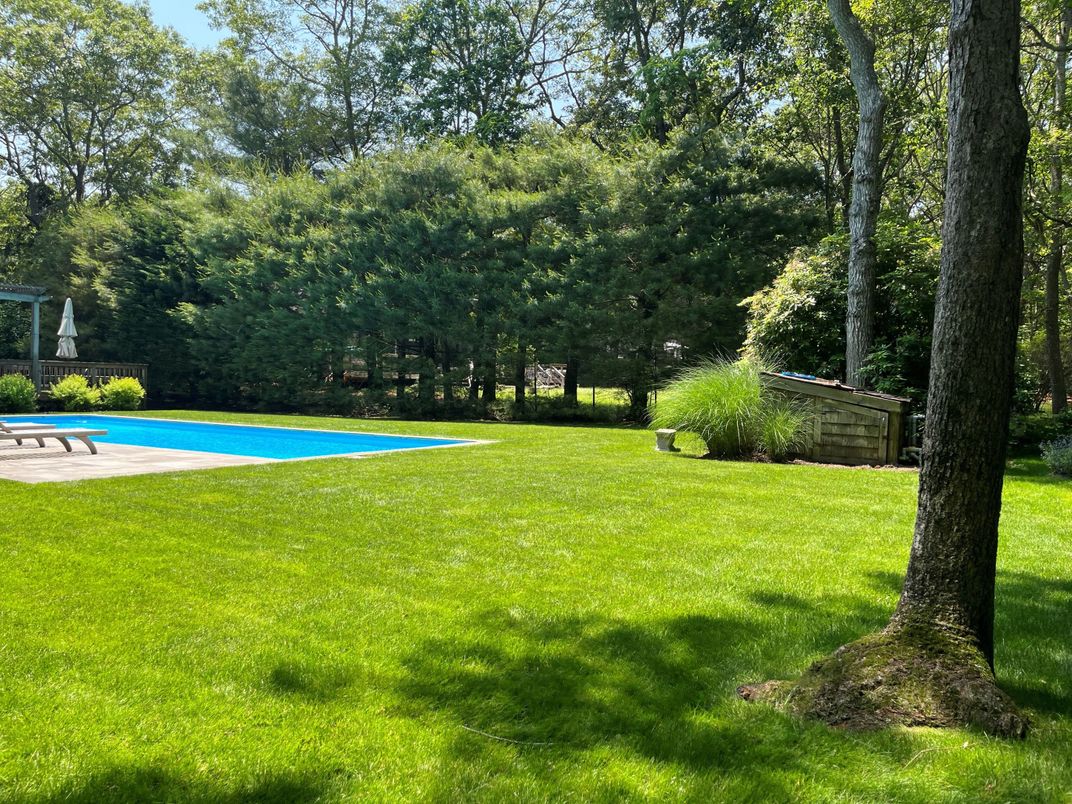 Backyard, Exterior, Pool