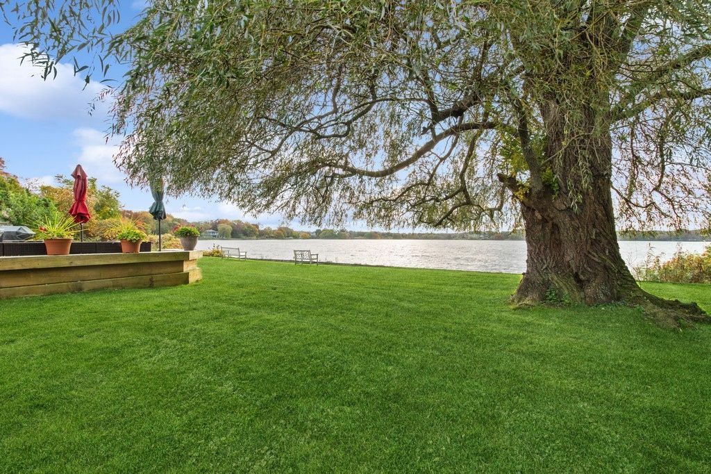 Backyard, Exterior, Water