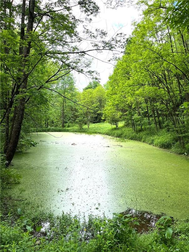 Exterior, Lake