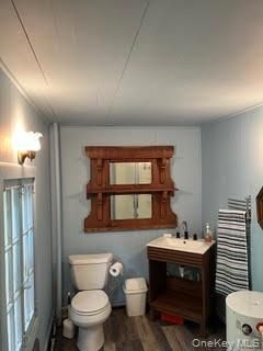 Bathroom, Interior, Wood Texture Flooring