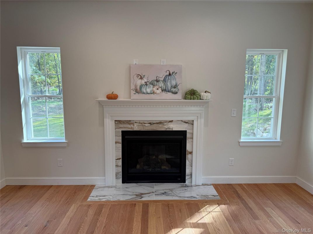 Fireplace, Interior, Wood Texture Flooring