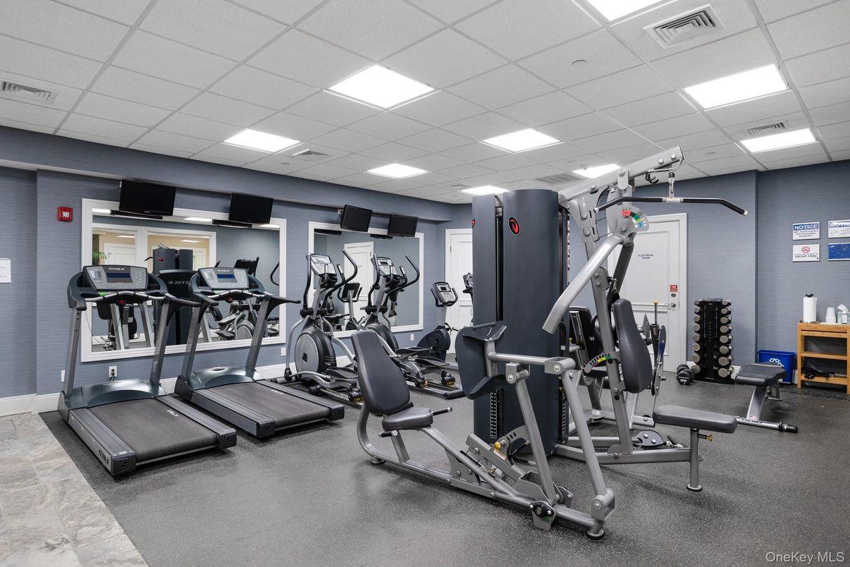 Fitness Equipment, Gym, Interior, Recessed Lighting