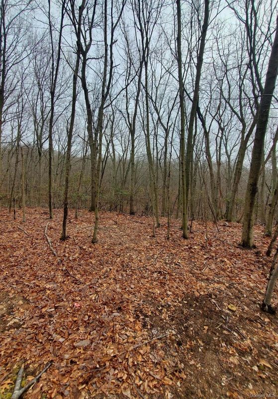 DE Listing image placeholder